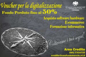 Arrivano i Voucher per la Digitalizzazione 