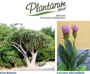 PLANTARUM AETNAE VENERDI' 18 FEBBRAIO ALLE ORE 10 TAGLIO DEL NASTRO