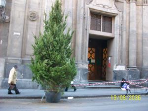 Per l'Immacolata accensione dell'albero di Natale in via Umberto