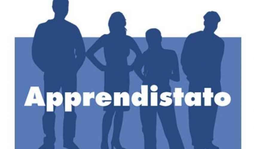 FORMAZIONE DEGLI APPRENDISTI