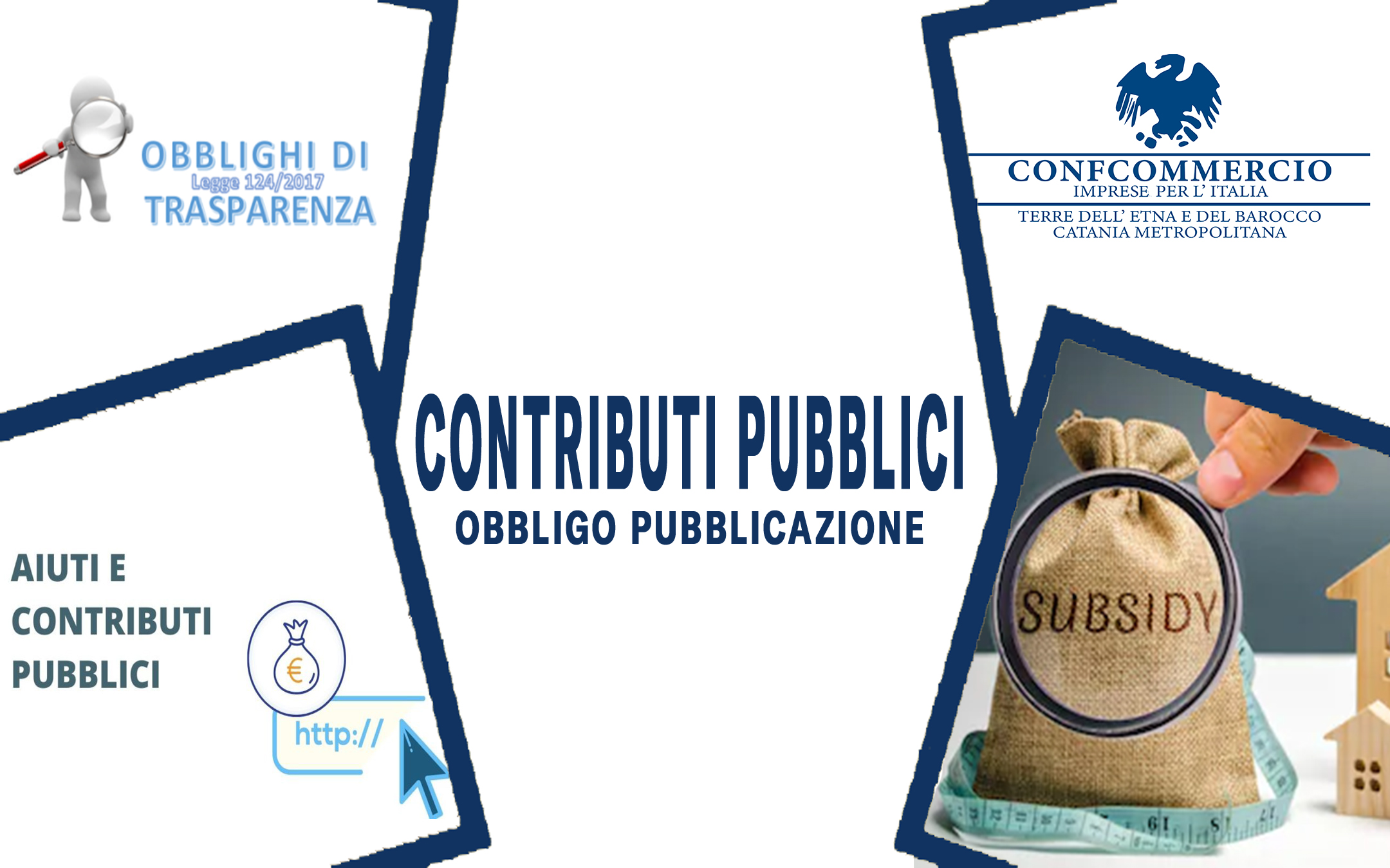 Pubblicazione Contributi Pubblici Imprese